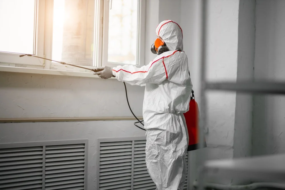 Professional mold remediation services in Winterthur, DE